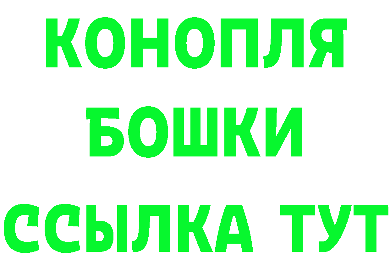 Бошки марихуана гибрид как зайти мориарти OMG Петропавловск-Камчатский