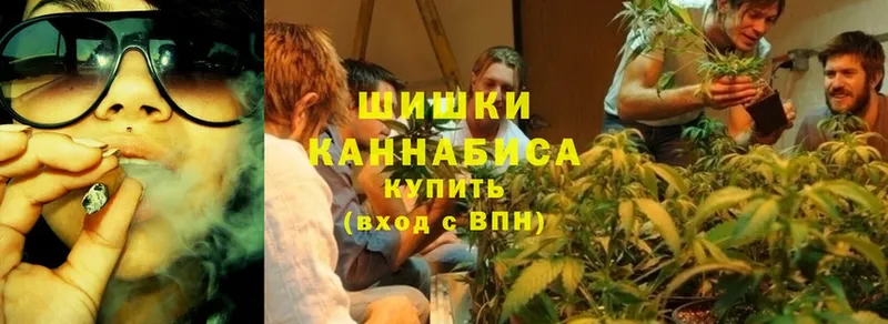 Бошки марихуана SATIVA & INDICA  Петропавловск-Камчатский 